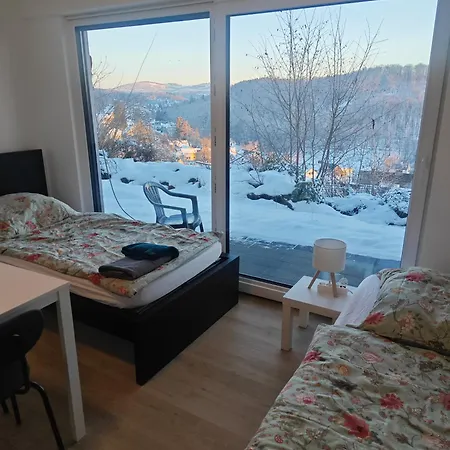 Apartmán - Geisweid Work And Neu Modernisiert 2 Schlafzimmer Badezimmer Balkon *