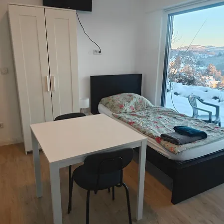 Apartmán - Geisweid Work And Neu Modernisiert 2 Schlafzimmer Badezimmer Balkon