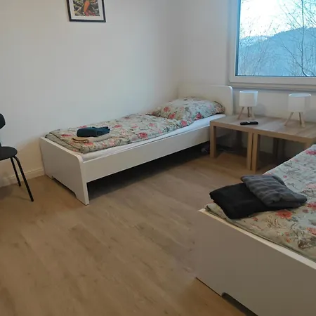 - Geisweid Work And Neu Modernisiert 2 Schlafzimmer Badezimmer Balkon
